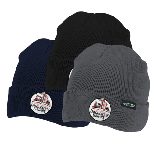 DPIL Logo Embroidered Beanie